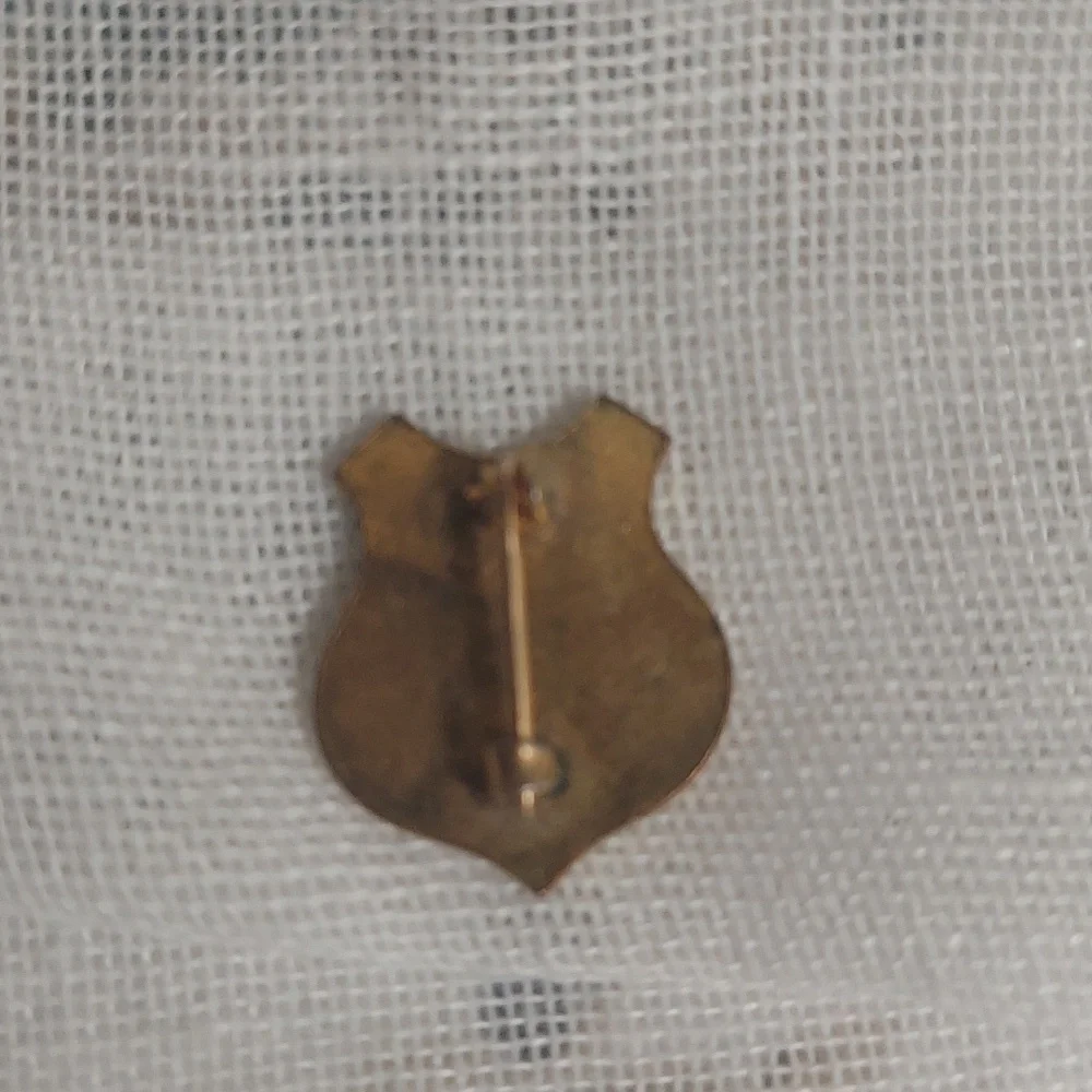 Antique Finnish Suomi Finland Voittoon Pin Flag Collectors Olympic Ring Pin